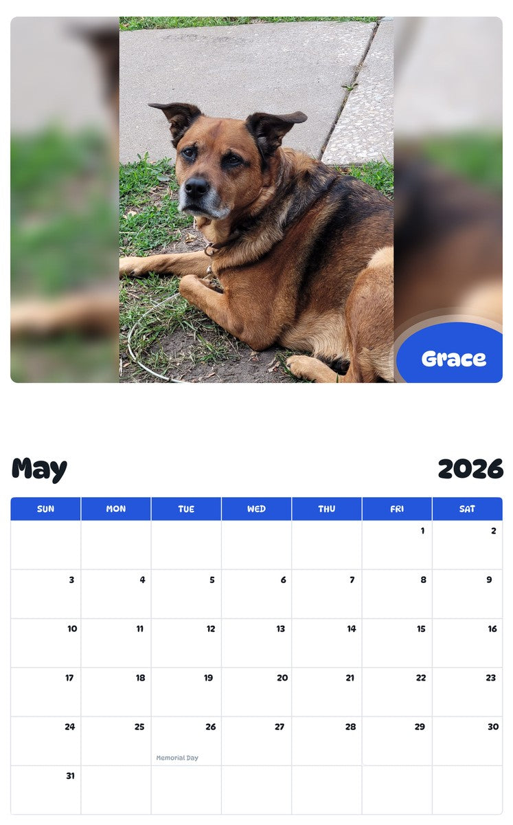 2026 - 2027 Grace - Pawidols Pet Calendar