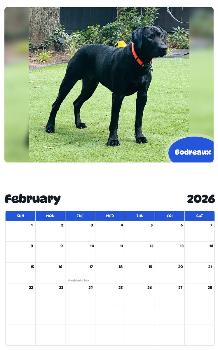 November 2025 - October 2026 Bodreaux - Pawidols Pet Calendar