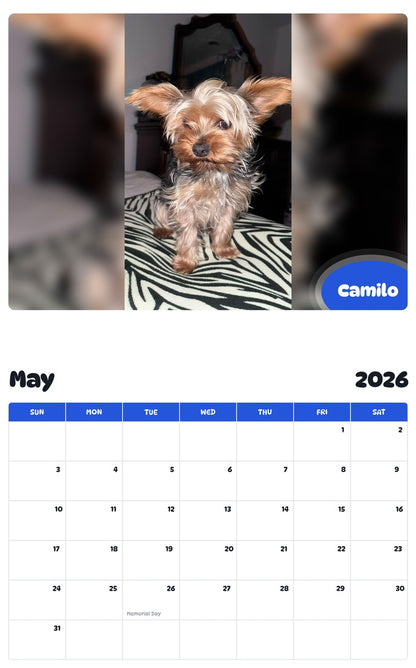 2026 - 2027 Camilo - Pawidols Pet Calendar