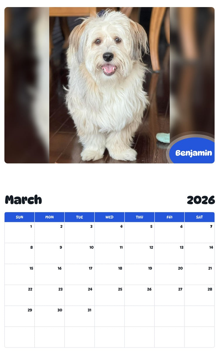November 2025 - October 2026 Benjamin - Pawidols Pet Calendar
