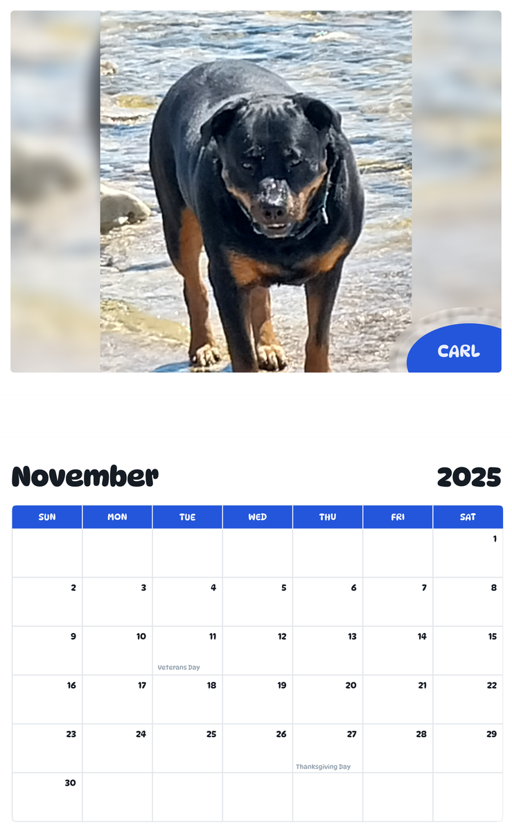 July 2025 - June 2026 Carl - Pawidols Pet Calendar