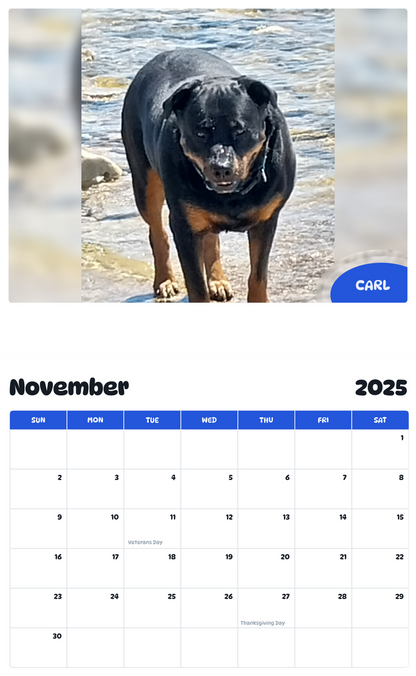 July 2025 - June 2026 Carl - Pawidols Pet Calendar