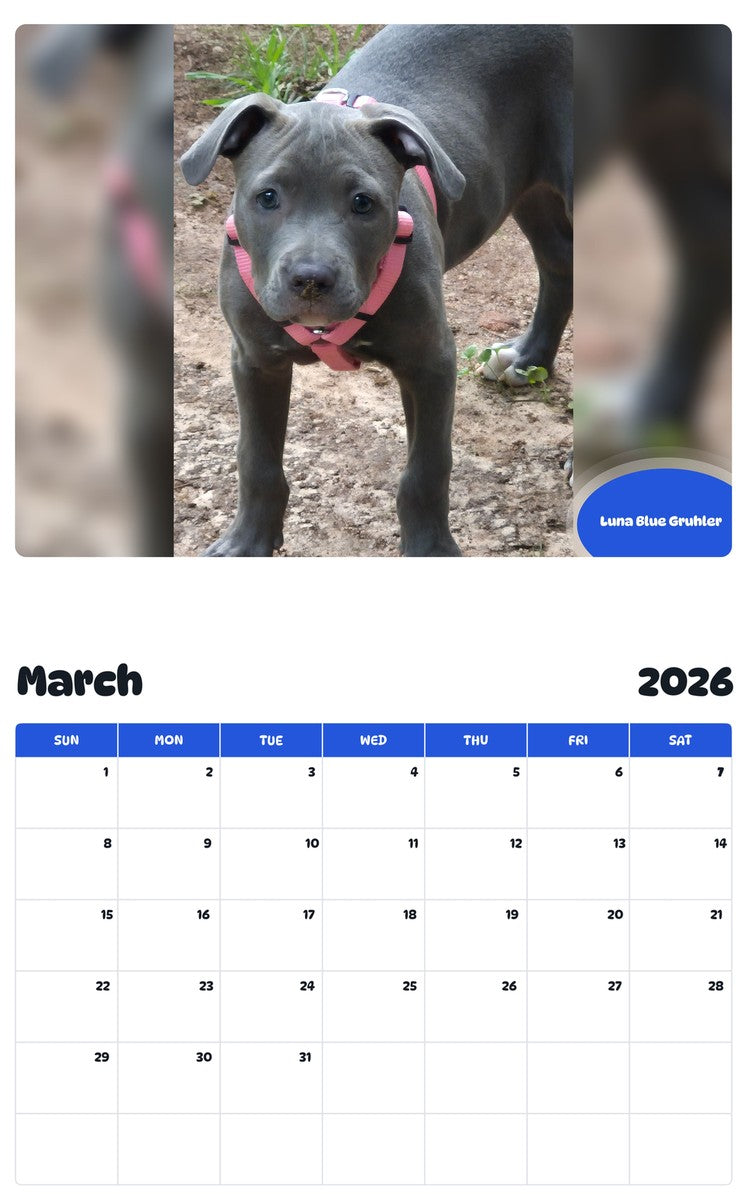 November 2025 - October 2026 Luna Blue Gruhler - Pawidols Pet Calendar