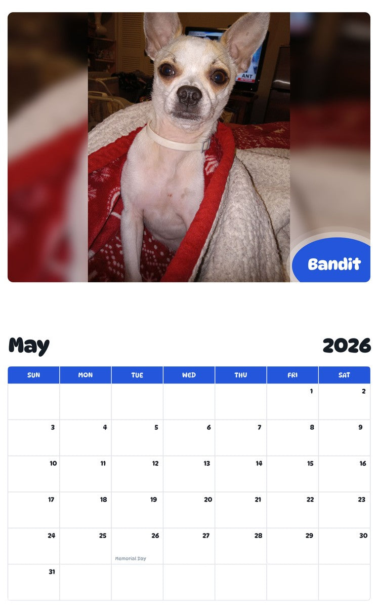 2026 - 2027 Bandit - Pawidols Pet Calendar