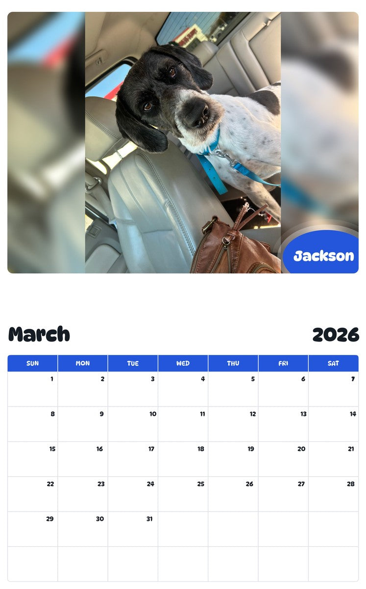 November 2025 - October 2026 Jackson - Pawidols Pet Calendar