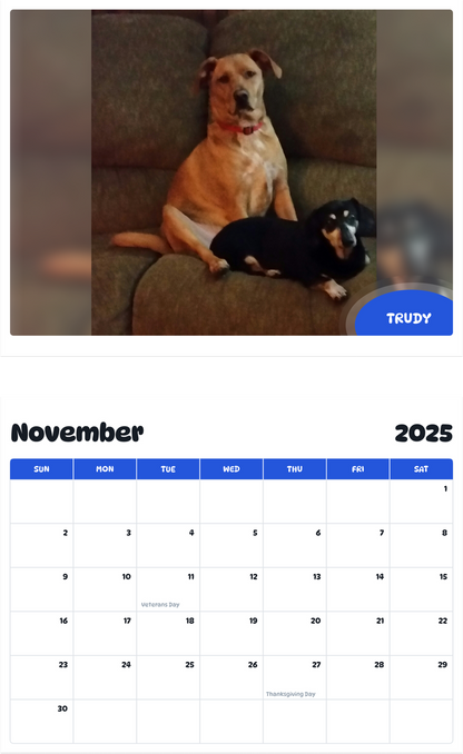 July 2025 - June 2026 Trudy - Pawidols Pet Calendar
