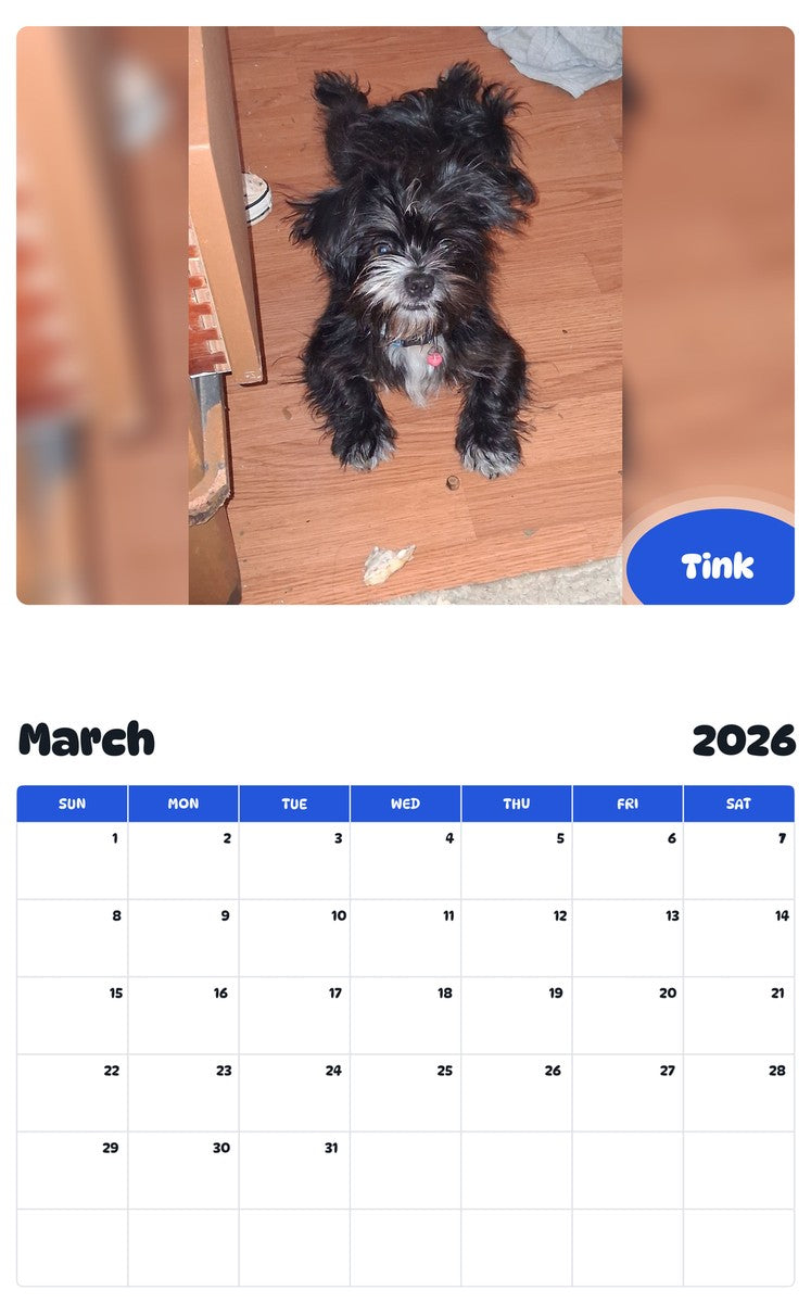November 2025 - October 2026 Tink - Pawidols Pet Calendar
