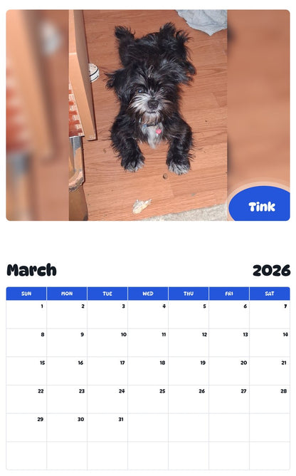 November 2025 - October 2026 Tink - Pawidols Pet Calendar