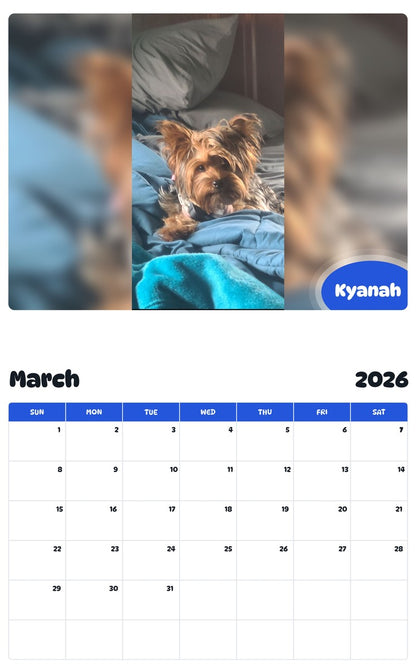 November 2025 - October 2026 Kyanah - Pawidols Pet Calendar