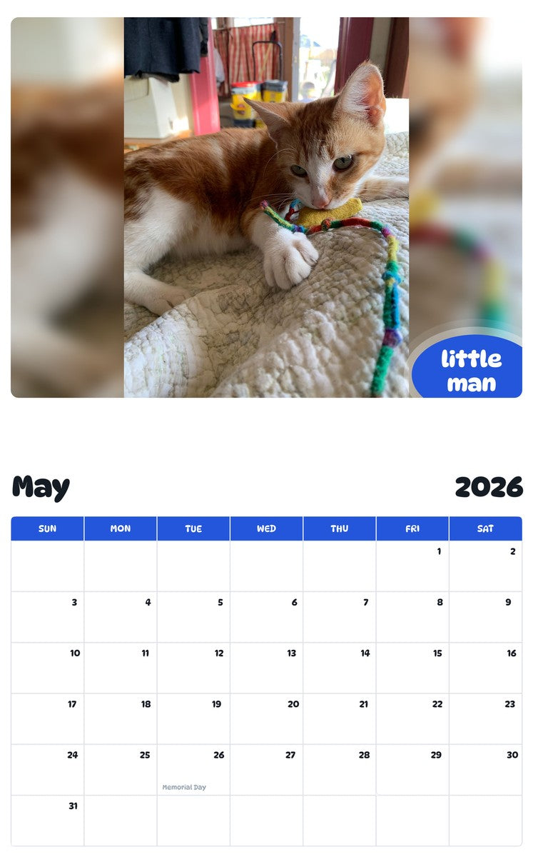 2026 - 2027 little man - Pawidols Pet Calendar