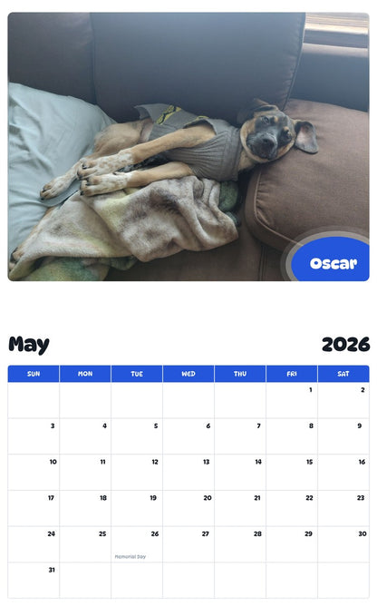 2026 - 2027 Oscar - Pawidols Pet Calendar