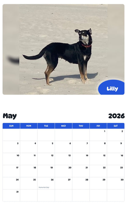 2026 - 2027 Lilly - Pawidols Pet Calendar