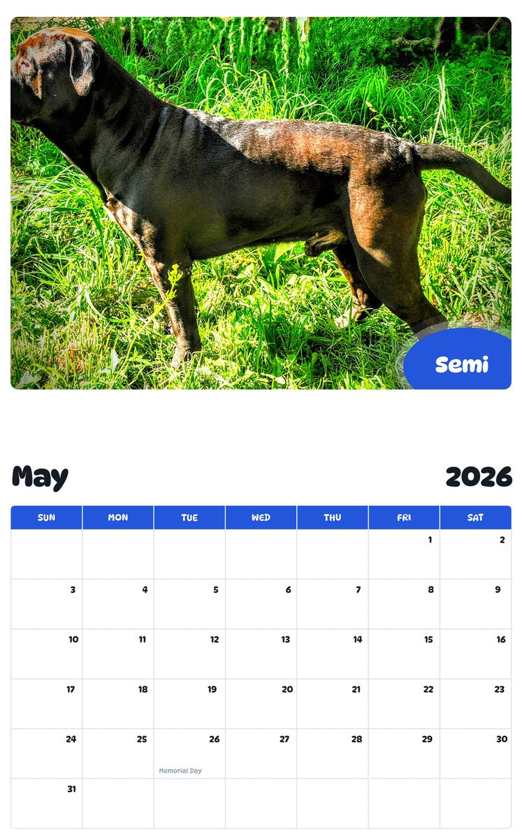 2026 - 2027 Semi - Pawidols Pet Calendar