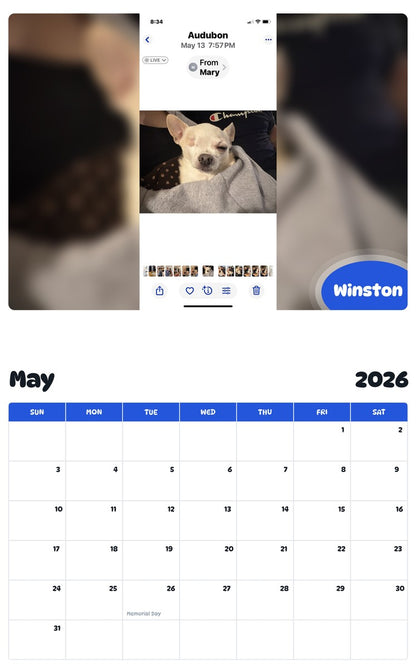 2026 - 2027 Winston - Pawidols Pet Calendar