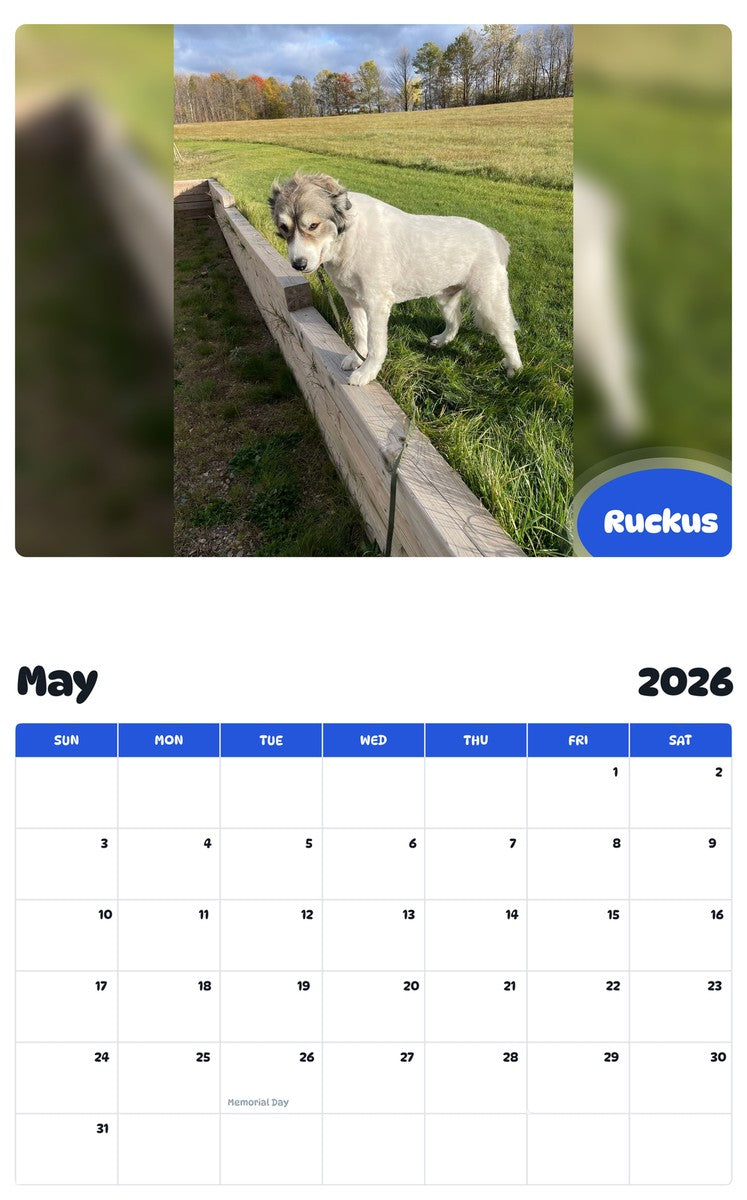 2026 - 2027 Ruckus - Pawidols Pet Calendar