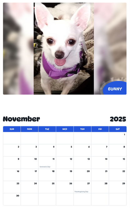 July 2025 - June 2026 Bunny - Pawidols Pet Calendar