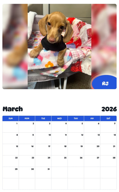 November 2025 - October 2026 RJ - Pawidols Pet Calendar