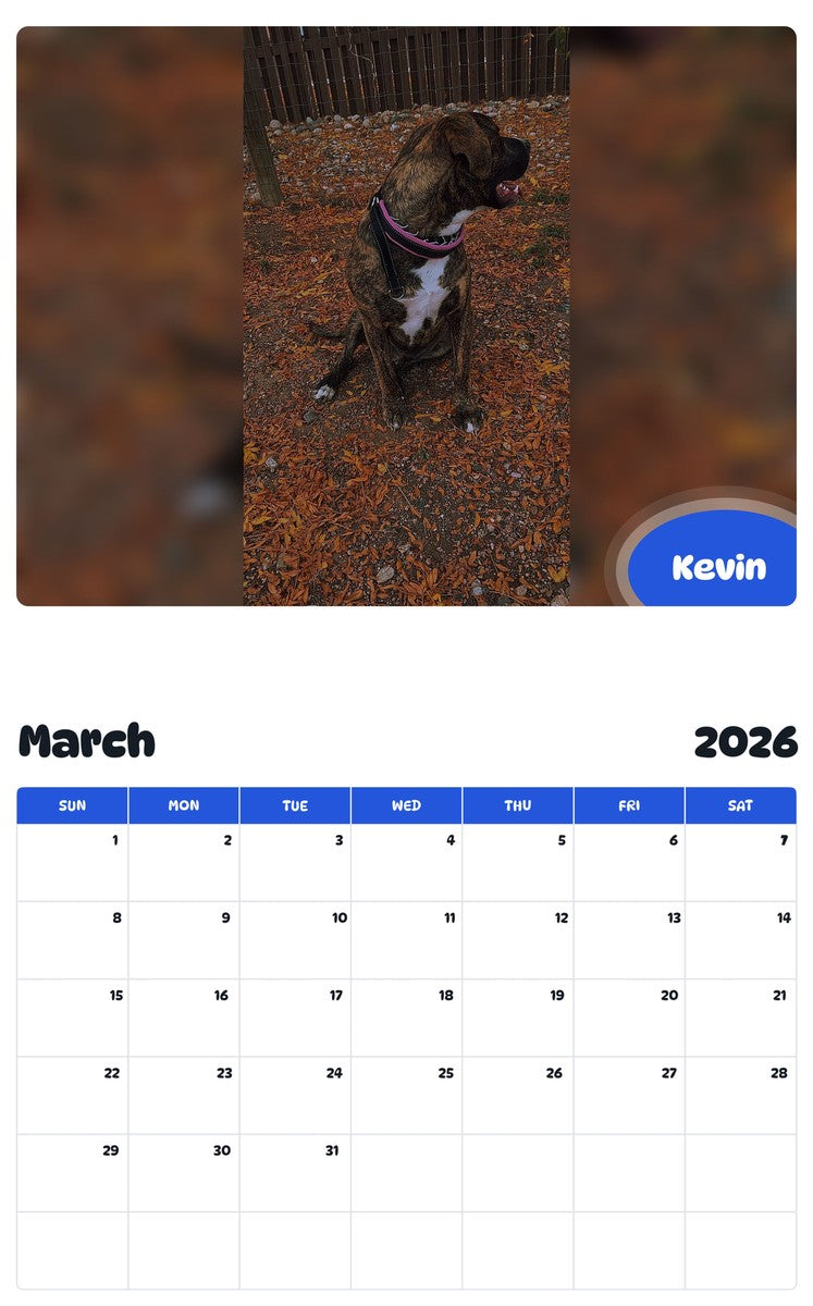 November 2025 - October 2026 Kevin - Pawidols Pet Calendar