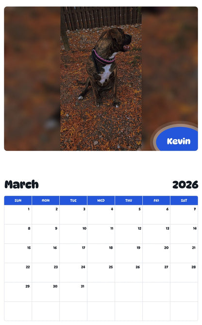 November 2025 - October 2026 Kevin - Pawidols Pet Calendar