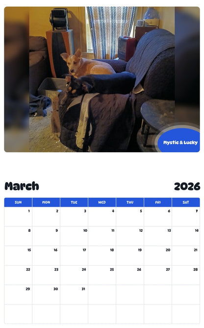 November 2025 - October 2026 Mystic & Lucky - Pawidols Pet Calendar