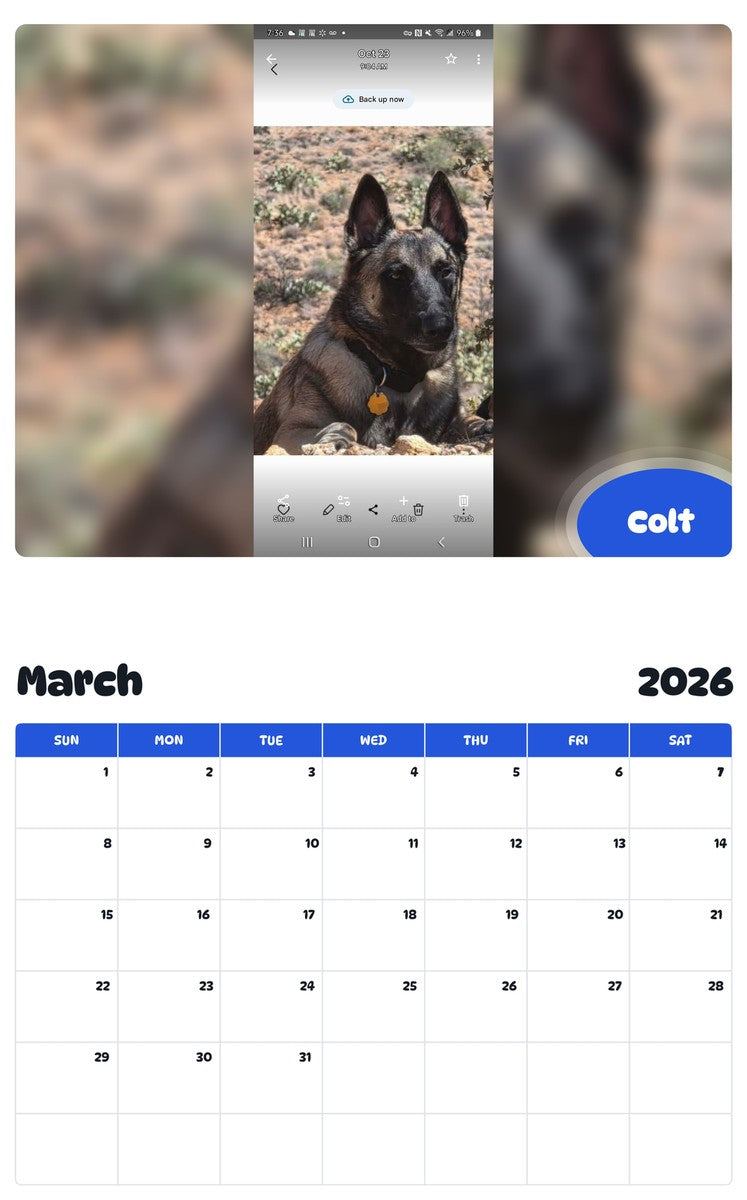 November 2025 - October 2026 Colt - Pawidols Pet Calendar