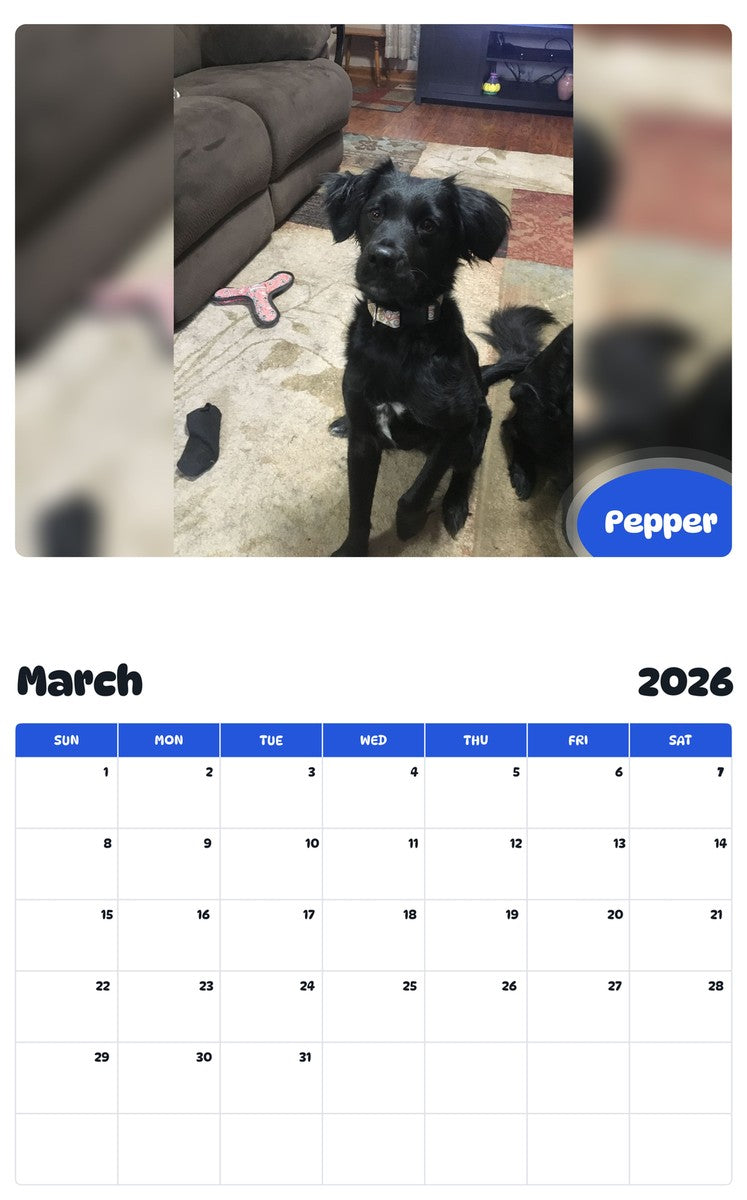 November 2025 - October 2026 Pepper - Pawidols Pet Calendar