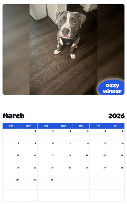 November 2025 - October 2026 Ozzy winner - Pawidols Pet Calendar