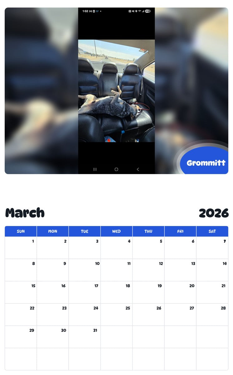 November 2025 - October 2026 Grommitt - Pawidols Pet Calendar