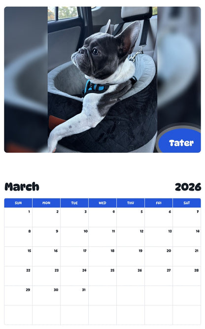 November 2025 - October 2026 Tater - Pawidols Pet Calendar