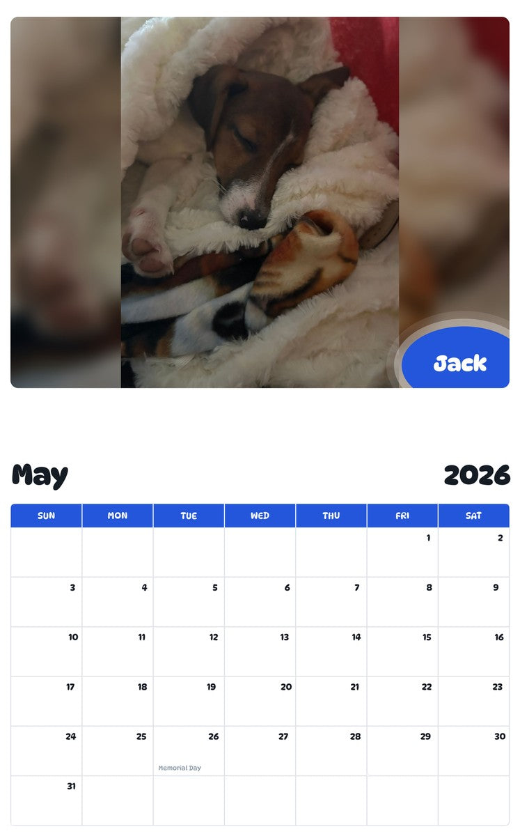 2026 - 2027 Jack - Pawidols Pet Calendar