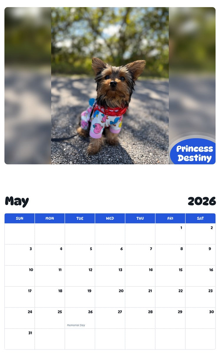 2026 - 2027 Princess Destiny - Pawidols Pet Calendar