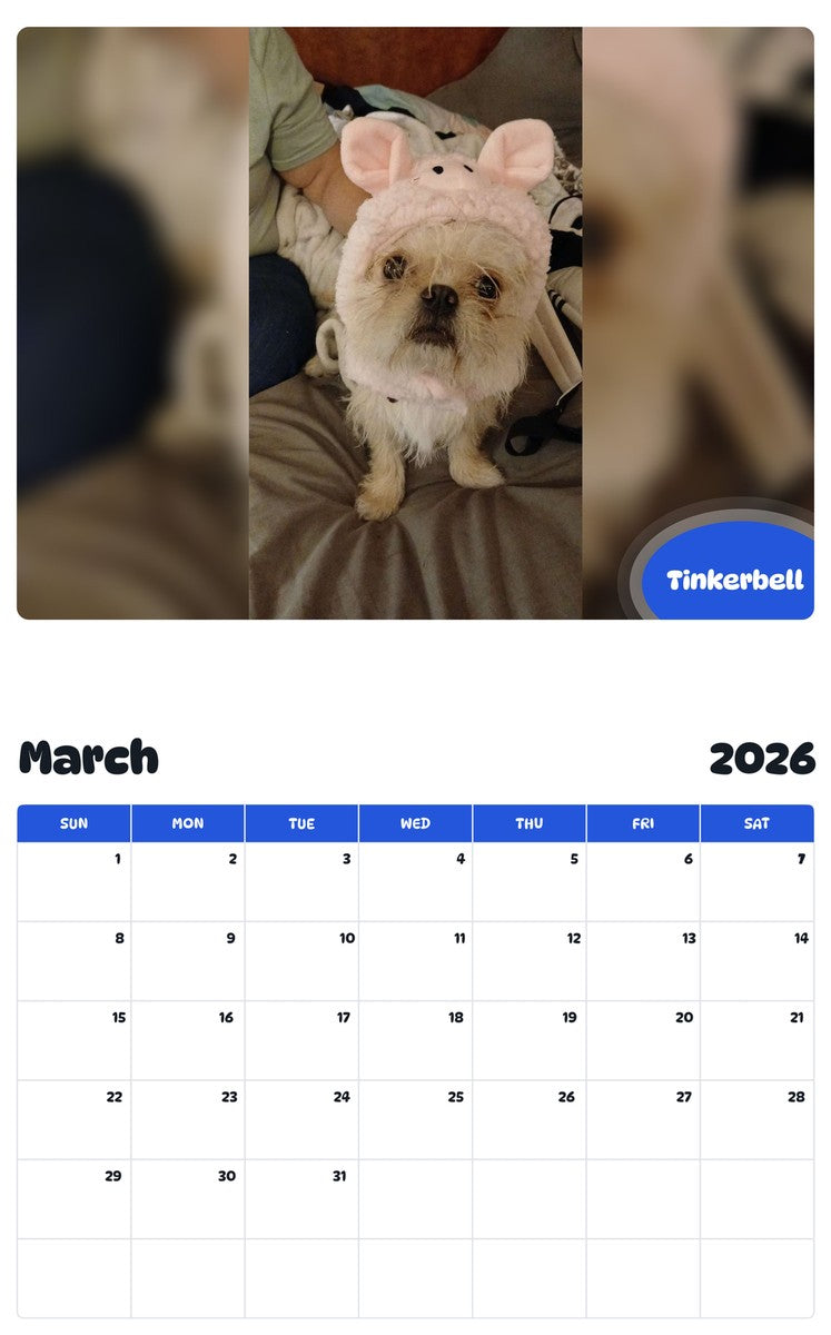 November 2025 - October 2026 Tinkerbell - Pawidols Pet Calendar