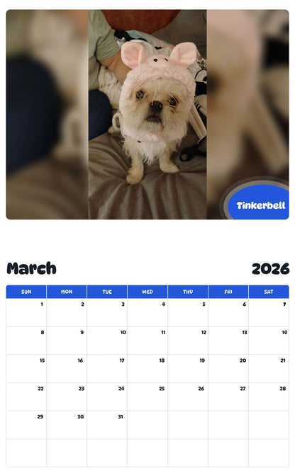 November 2025 - October 2026 Tinkerbell - Pawidols Pet Calendar