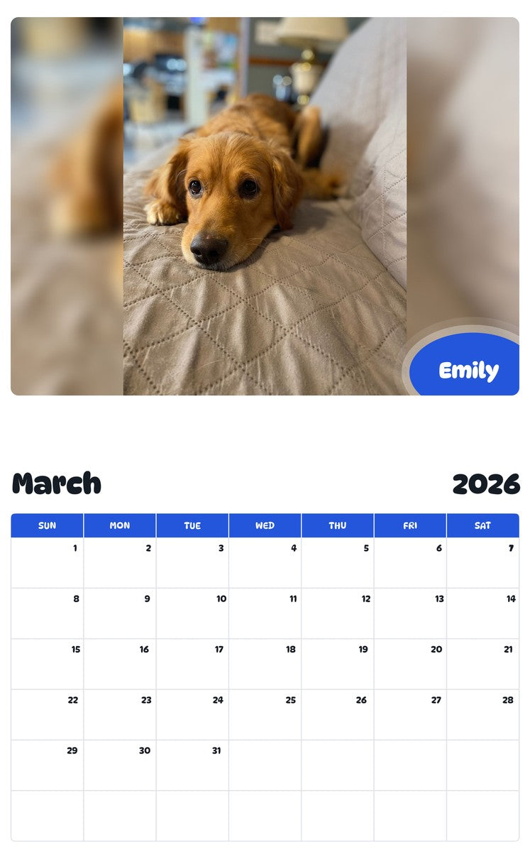 November 2025 - October 2026 Emily - Pawidols Pet Calendar