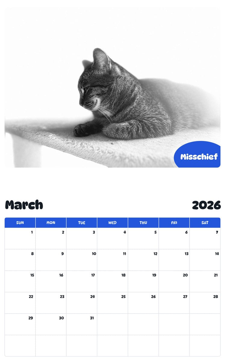 November 2025 - October 2026 Misschief - Pawidols Pet Calendar
