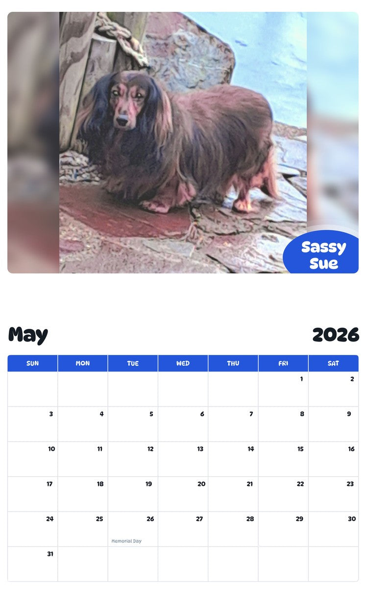 2026 - 2027 Sassy Sue - Pawidols Pet Calendar