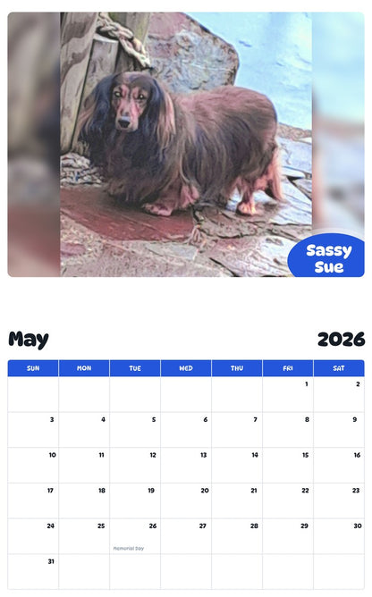 2026 - 2027 Sassy Sue - Pawidols Pet Calendar