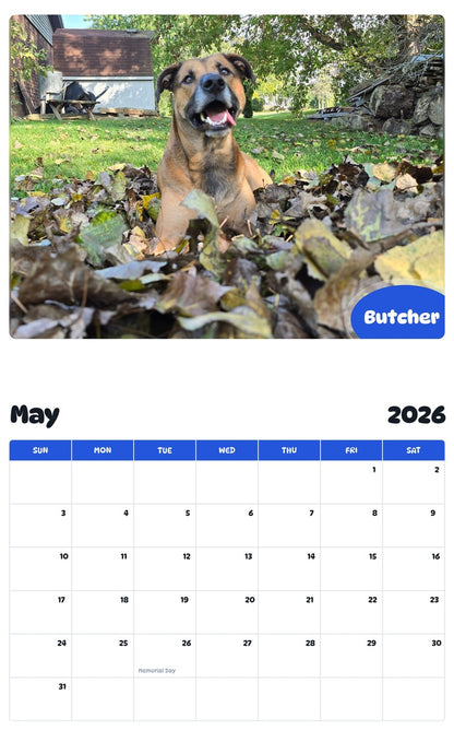 2026 - 2027 Butcher - Pawidols Pet Calendar