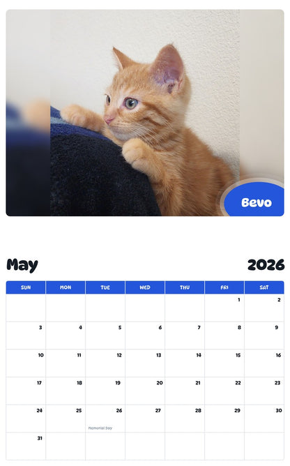 2026 - 2027 Bevo - Pawidols Pet Calendar