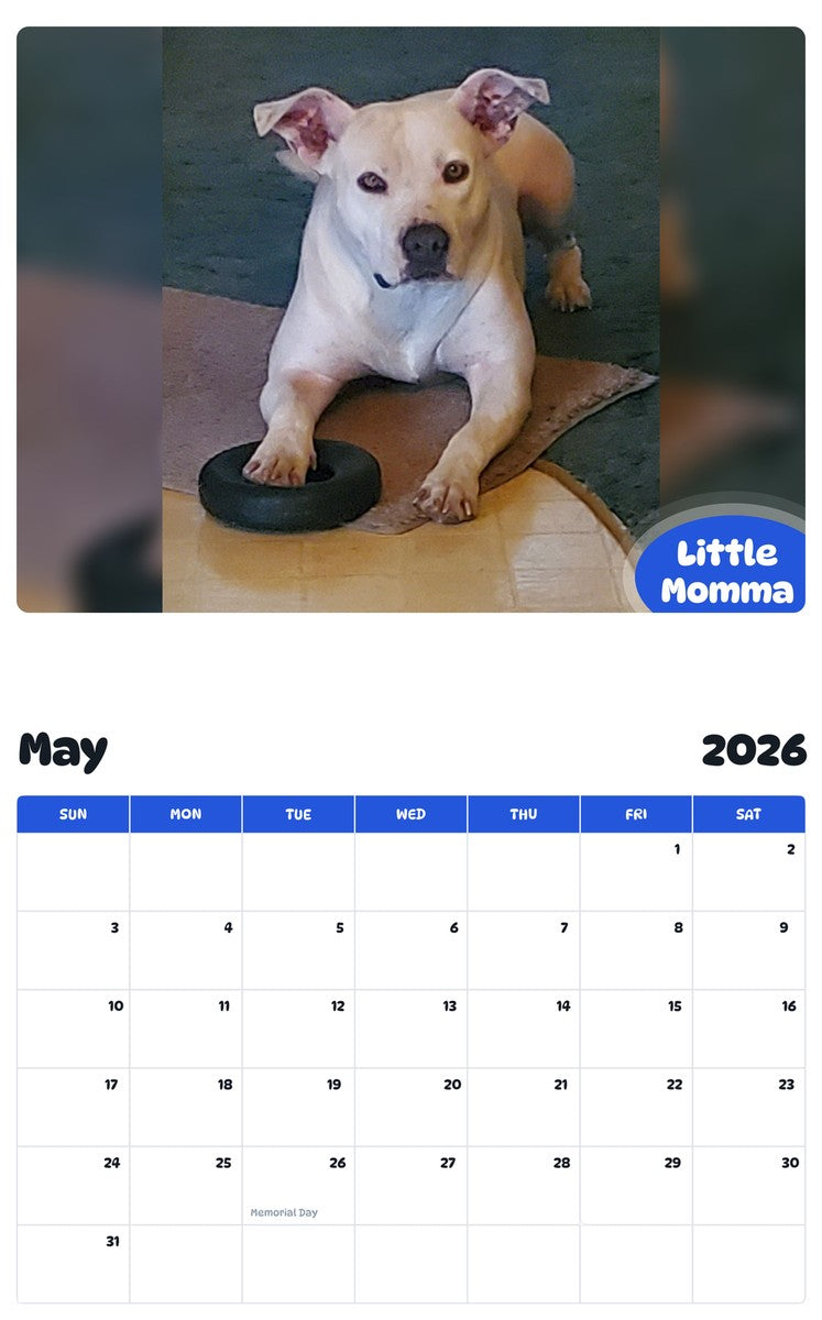2026 - 2027 Little Momma - Pawidols Pet Calendar