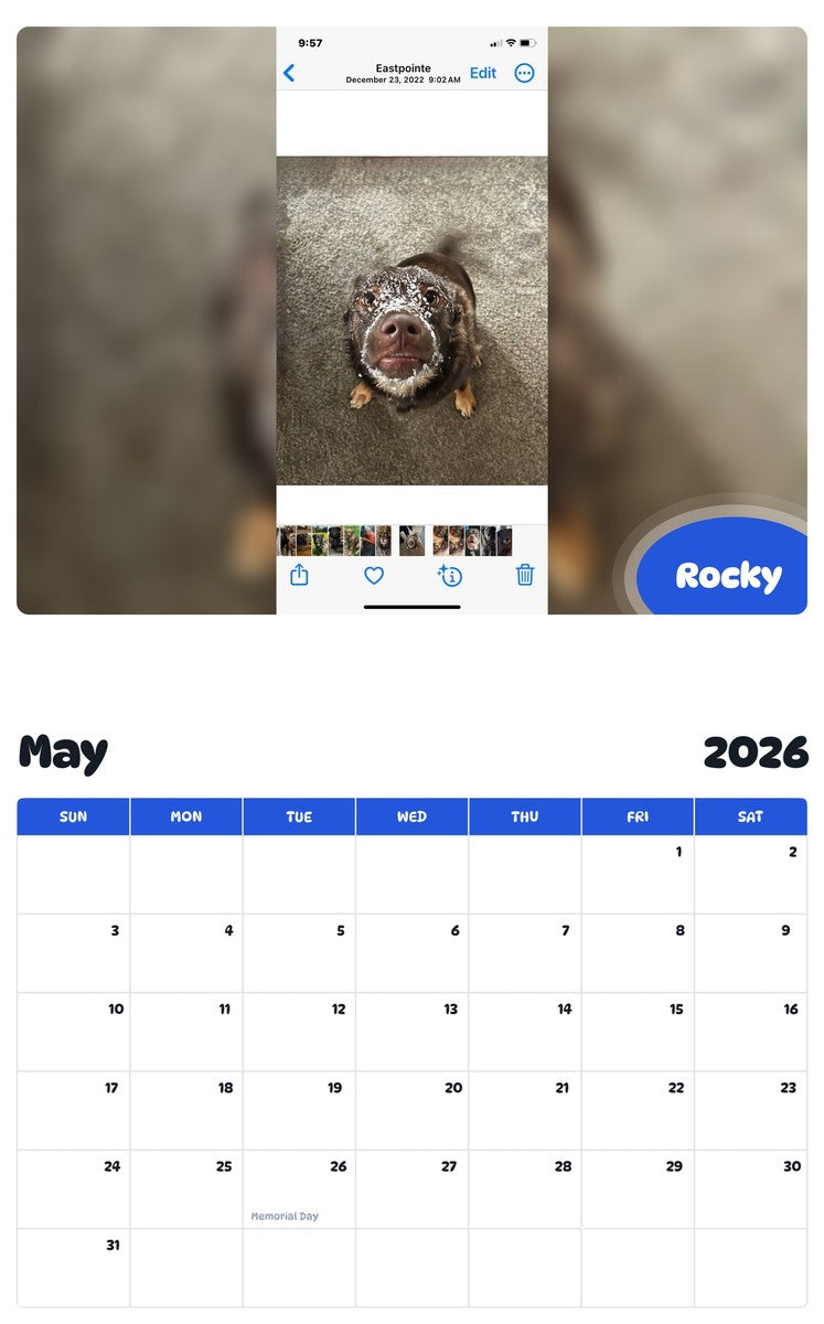2026 - 2027 Rocky - Pawidols Pet Calendar