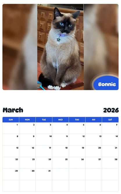 November 2025 - October 2026 Bonnie - Pawidols Pet Calendar