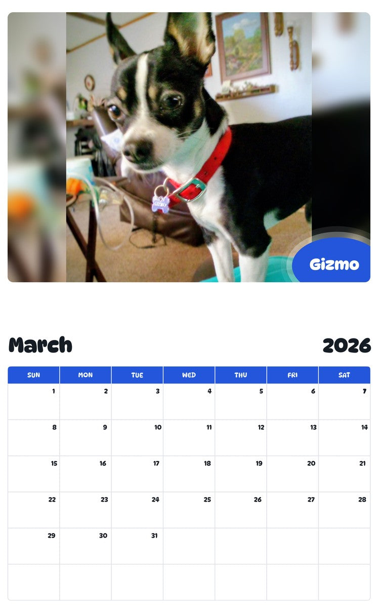 November 2025 - October 2026 Gizmo - Pawidols Pet Calendar