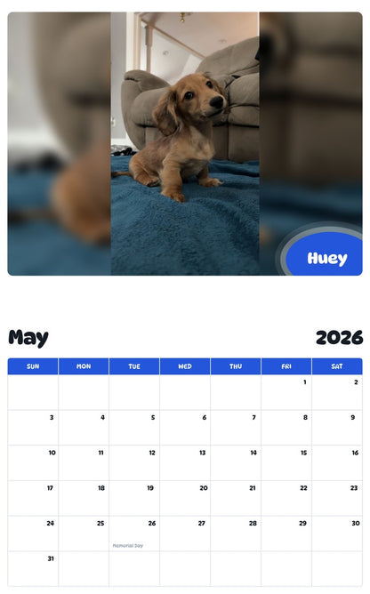 2026 - 2027 Huey - Pawidols Pet Calendar