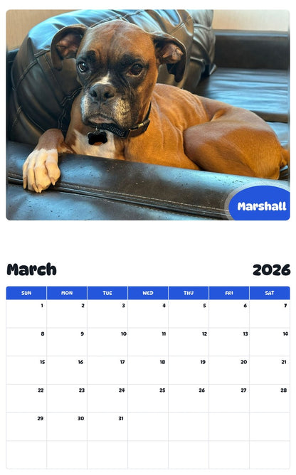 November 2025 - October 2026 Marshall - Pawidols Pet Calendar