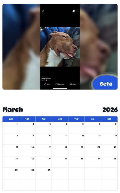 November 2025 - October 2026 Beta - Pawidols Pet Calendar