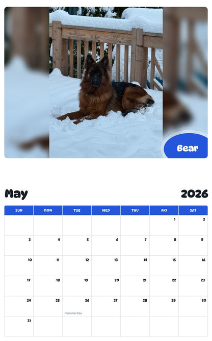 2026 - 2027 Bear - Pawidols Pet Calendar