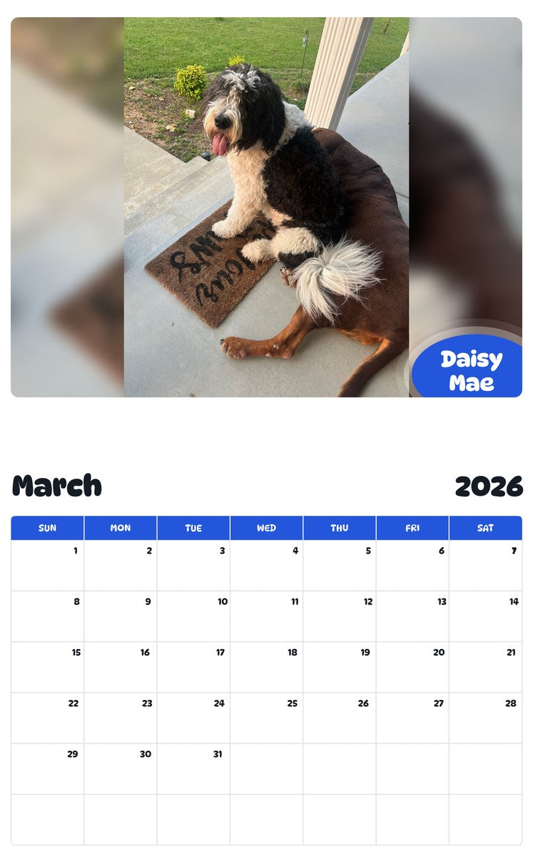 November 2025 - October 2026 Daisy Mae - Pawidols Pet Calendar