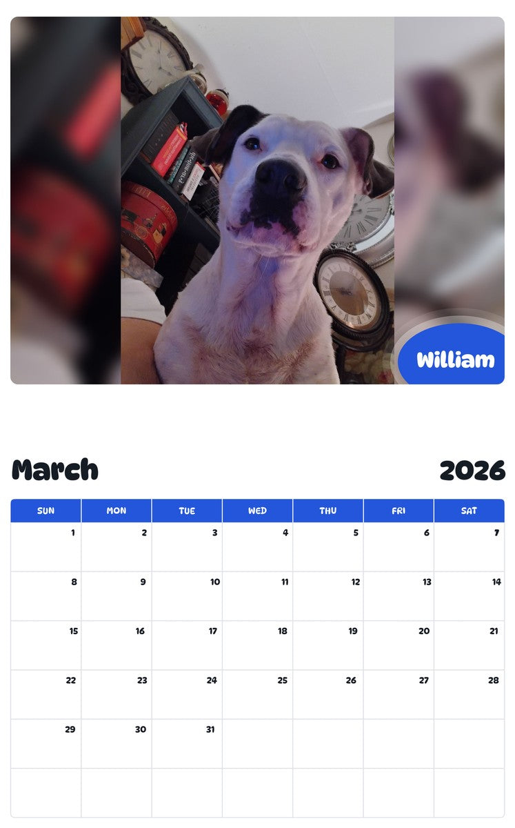 November 2025 - October 2026 William - Pawidols Pet Calendar