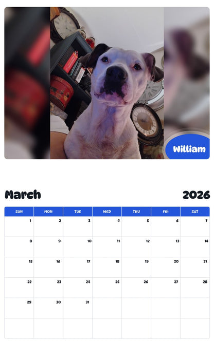 November 2025 - October 2026 William - Pawidols Pet Calendar